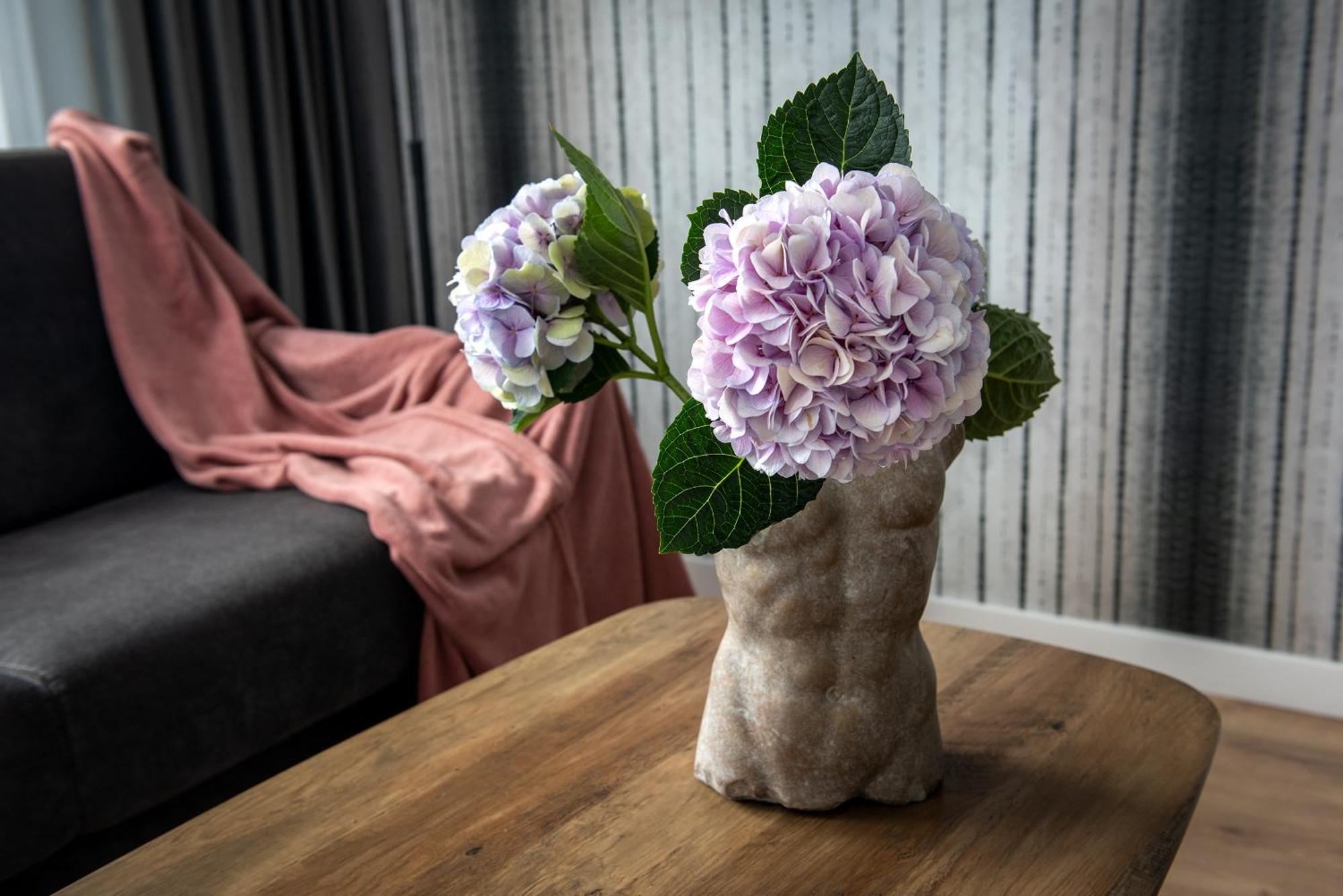 Inpoint Spacious Apartments Near Main Square & Kazimierz District Cracovia Habitación foto
